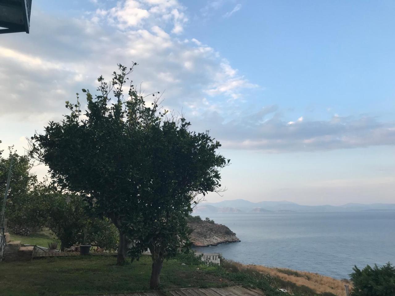 Villa Castle Sea View Parálion Ástros Zewnętrze zdjęcie